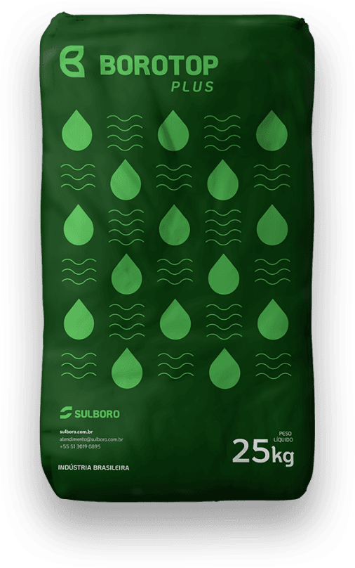 BoroTop Plus